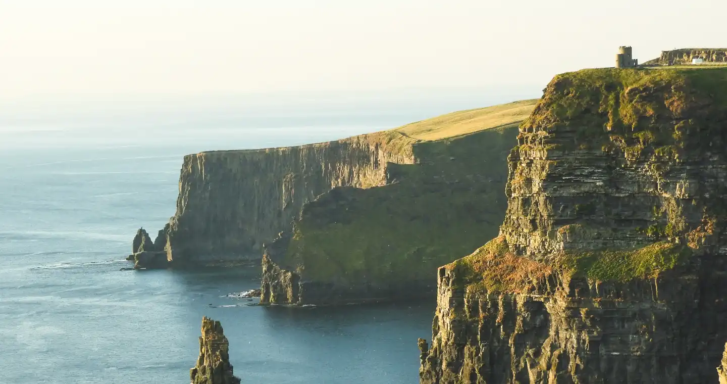 AD NET ZERO <strong>Ireland</strong> featured image