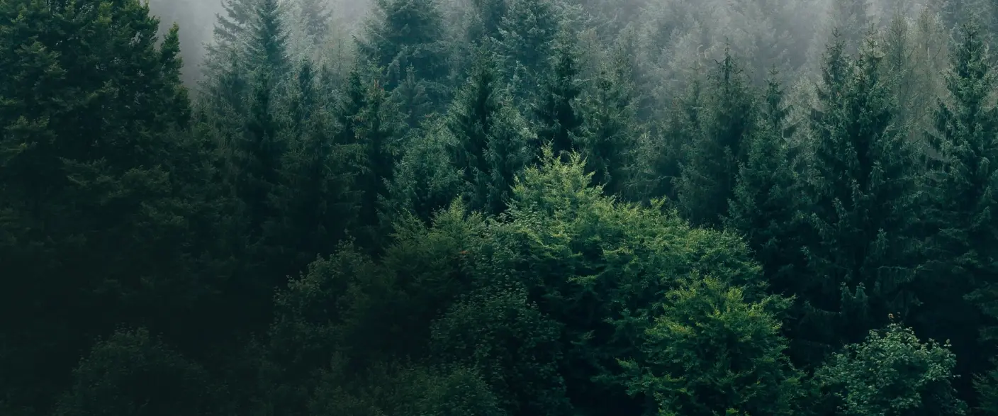 The Ad Net Zero Action Plan featured image